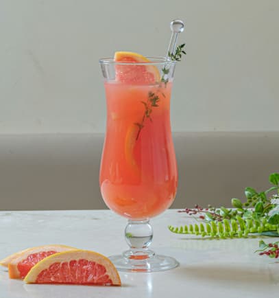 Paloma